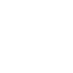 Stain Removal icon