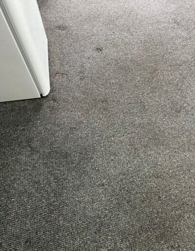 Carpet Cleaning After