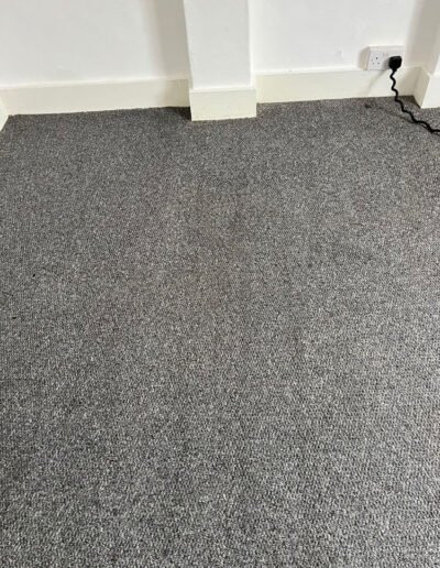 Carpet Cleaning After