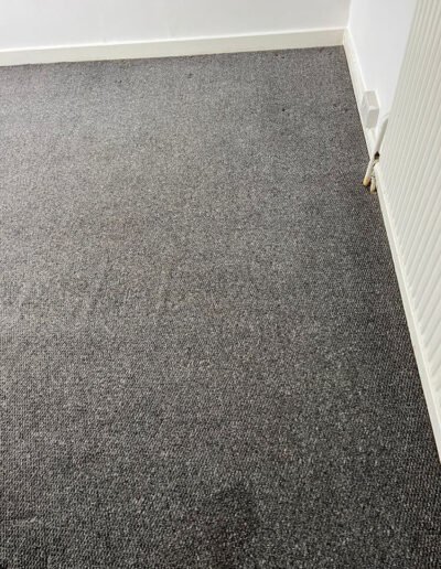 Carpet Cleaning After